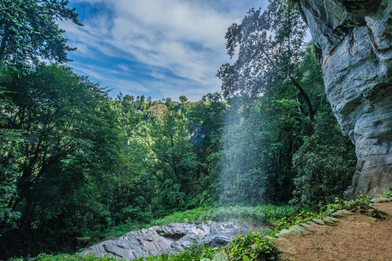 Palmstone Retreat Hotel Kitulgala Exterior photo